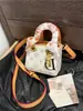 Bolsa de Mão Mini Nova Estilosa Outono/Inverno 2026 com Estampa, Alta Qualidade, Fashion, Versátil, de Mão e Transversal, Estilo Lady Dior