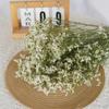 Buquê de Flores Secas de Yunnan Flores Reais Eucalipto Bola Dourada Gipsofila Rosa Decoração de Casa Ins Sala de Estar Material de Flores DIY