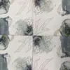 Servilletas Desechables Listas de Fábrica con Impresión Completa en Estilo Horizontal Se Pueden Enviar en una Sola Pieza