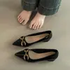 Elegantes Zapatos de Tacón Grueso para Commuter para Mujer Otoño 2026 Puntiagudos Estilo Coreano Profesionales de Tacón Alto con Detalle de Hebilla