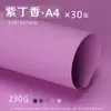 Yuanhao Cartulina Rígida de Colores 4K Infantil para Pintar Espesada 230g Estudiante Jardín de Infancia Hecho a Mano Cartulina Morada