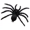 Araña pequeña Halloween vaso completo araña juguete variedad de especificaciones de araña se pueden mezclar en bolsas pequeñas araña negra divertida