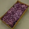 Flor Mágica Flor Eterna AB Anna Hortênsia 100g Aniversário Real Flor Diy Material Flor Seca Decoração Namorada Presente