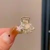 Pinza Sujetapelos Metálica para Cola de Caballo para Mujer, Pinza Pequeña de Pelo de Moda, Pinza para Cola de Caballo, Pasador Pequeño, Accesorio para el Cabello Pinza de Tiburón