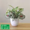 Simulación de hojas de rábano verde flores artificiales en maceta plantas verdes artificiales de plástico para interiores y exteriores de pie bonsái mampara macetero flores decorativas