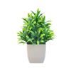 Venda quente transfronteiriça planta artificial planta artificial planta verde interior e exterior decorativo vaso de plástico eucalipto pequeno pote atacado