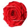 Flor Eterna 9-10cm Cabeza de Rosa Eterna Gigante Individual Multicolor Opcional Regalo de Tanabata Día de San Valentín Material Floral