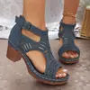 2026 E-commerce Transfronteiriço Calçados Femininos Plus Size Novo Estilo Peep-toe Sandálias Romanas de Salto Grosso Vazadas Respiráveis Sandálias com Zíper Atrás Salto Alto