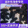 [Pepino-do-mar Padrão Nacional] Pepino-do-mar Seco Puro Cultivado no Fundo de Dalian Atacado de Produtos Secos Pepino-do-mar Nutritivo de Liaoning