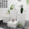 Suporte de Exibição de Chão Mármore Imitação Plataforma Decoração de Vitrine Base Urso Violento Elevação Mesa de Sala de Estar