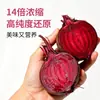 Polvo de Remolacha Roja Personalizado para Suplementar Fibra Dietética, Polvo de Frutas y Verduras para Bebida Instantánea, Polvo Sustituto de Comida, Paquete Pequeño, Polvo Natural de Frutas y Verduras