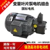 Combinación de motor hidráulico y bomba de aceite 0.75KW/1.5KW/2.2KW con bomba de paletas VP20/30/40 Eléctrica Ensamblaje