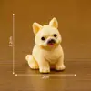 Paisaje Micro Creativo Lindo Perro Blanco Pequeño Muñeco Caja Sorpresa Decoración de Jardinería Accesorios Coche Escritorio Mini Adornos
