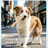 Palitos Masticables de Madera de Café Natural para Gatos y Perros Mascotas, Limpieza Dental, Alivio del Aburrimiento y Juguetes Anti-Destructivos para Perros Grandes, Medianos y Pequeños