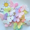 Accesorios de mariposa degradados de gran venta, accesorios para el cabello, zapatos con agujeros, fabricantes de accesorios de bricolaje, mariposa de resina de dos colores al por mayor