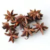 Casca de fruta faça você mesmo, pinha, lascas de madeira, folhas, flores secas, combinação de frutas secas, decoração de natal, decoração de jardim de infância, adereços retrô