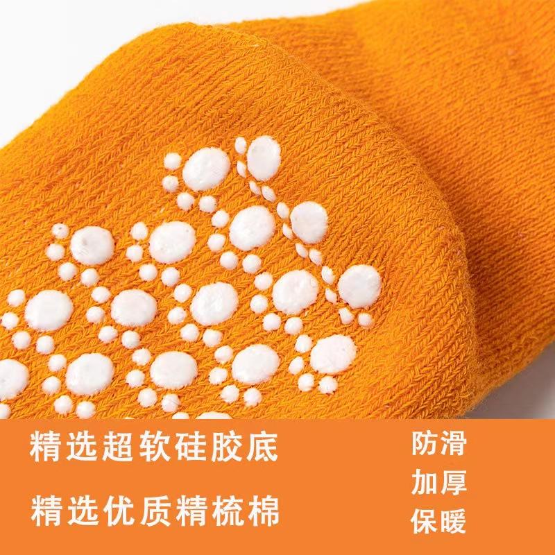 mmexport1679495311929