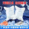 Suministro Directo de Fábrica de Bolsas de Hielo Autoabsorbentes con Logo Impreso a Color, Pasteles de Frutas, Bolsas de Hielo Reutilizables sin Agua para Uso Profesional en Aviación