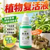 Solución revitalizante específica para plantas de maceta, que promueve la absorción activa, aborda problemas como tallos amarillentos y caída de hojas, y fomenta el crecimiento rápido.; una fórmula universal