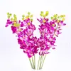 Suministro de fábrica simulación rama única orquídea pavo real amarilla decoración del hogar sala de estar adornos de flores artificiales flores de simulación diy