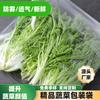 Bolsa para Envasar Verduras, Bolsa Grande Engrosada Antivaho, Bolsa para Envasar Verduras, Bolsa Transpirable para Verduras, Bolsa de Plástico Transparente Perforada