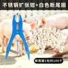 Alicate de Corte de Cauda em Aço Inoxidável para Porcos e Ovelhas, Alicate de Corte de Cauda para Leitões, Alicate de Castração para Uso Veterinário, Alicate Expansor