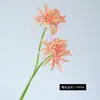 Tela de seda de alta calidad 2 cabezas Flor artificial Bianhua decoración del hogar arreglo floral de boda Flor falsa Bianhua