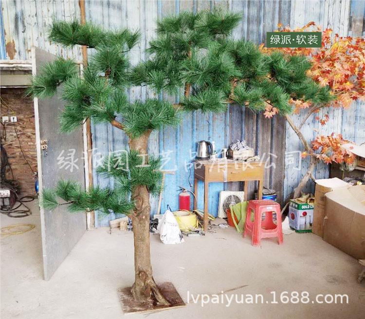 迎客松1332.jpg