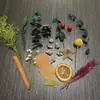 Fruta Fixa Natural Planta Fruta Casca Espécime Material Decoração Flores Secas Fatias Jardim de Infância DIY Pacote de Material de Natal