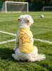 Nuevo Chaleco Estampado de Dibujos Animados Iins Fresco y Transpirable para Perros Pequeños, Adecuado para Todas las Estaciones