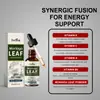 Gotas de Extracto de Hoja de Moringa Docteat Esencia Herbal Cuidado Suave del Cuerpo Procesamiento OEM