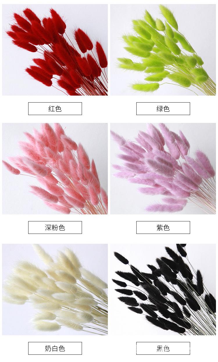中文1688_08