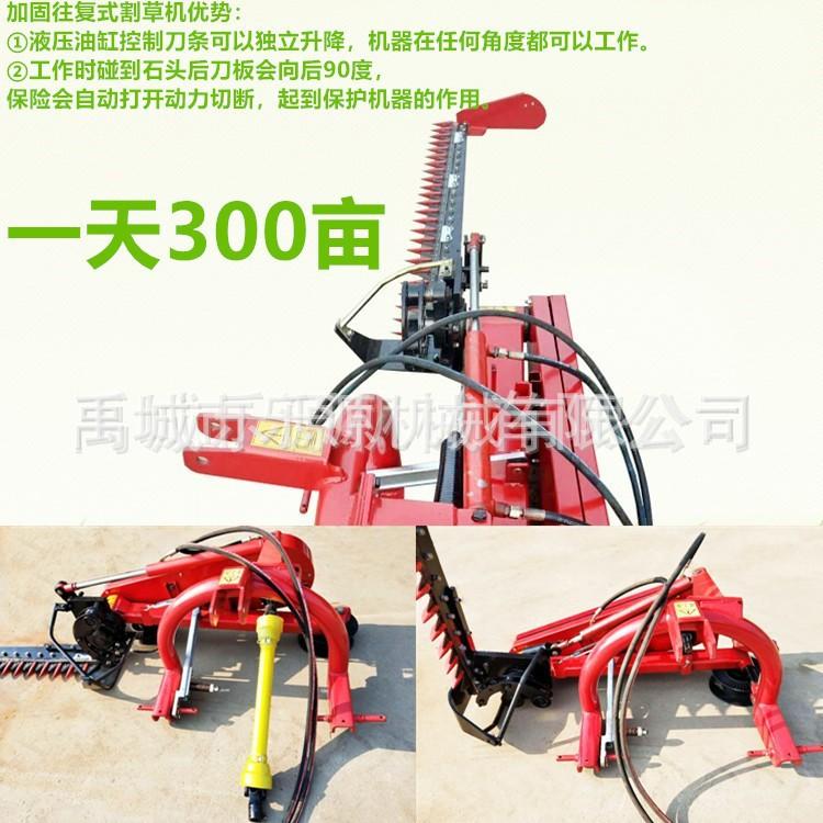 9675014454_518163770.jpg
