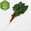 Venta al por mayor directa de fábrica de todo tipo de verduras de tacto de alta simulación PU verduras falsas PU simulación pepino col