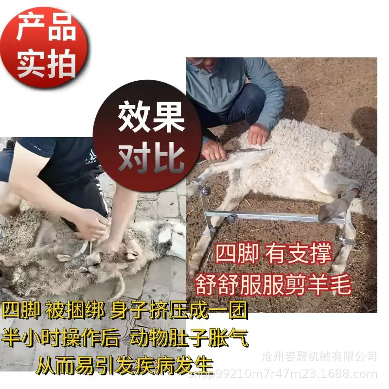 微信图片_20240426200526.jpg
