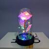 Luz Nocturna de Flor Eterna Rosa Dorada Color Oro con Lámina de Oro Navidad Maestro Día de San Valentín Chino Día de San Valentín Romántico Día de la Madre Regalo Adornos