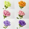 Palito retorcido terminado Flor de clavel gratis Material Flor de clavel para el Día de la Madre Soltero Tienda de flores Soltero Suministros Material de flor de pulpo
