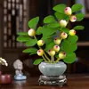 Árbol Bodhi en Maceta Pequeño Bodhi de la Esperanza Bonsái con Fruta Zen Chino Adornos de Escritorio Plantas Verdes Creativas de Interior