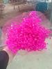 Flores Secas Estrelas Gypplover Imortalizadas Flores Eternas Flores Secas Flores Secas Estrelas Gypplover Presente Tanabata