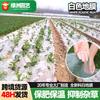 Filme de Cobertura Branco, Capina e Isolamento Térmico, Filme de Cobertura Transparente, Filme Plástico PE Impermeável e Hidratante, Cultivo de Hortaliças, Estufa Agrícola para Hortaliças