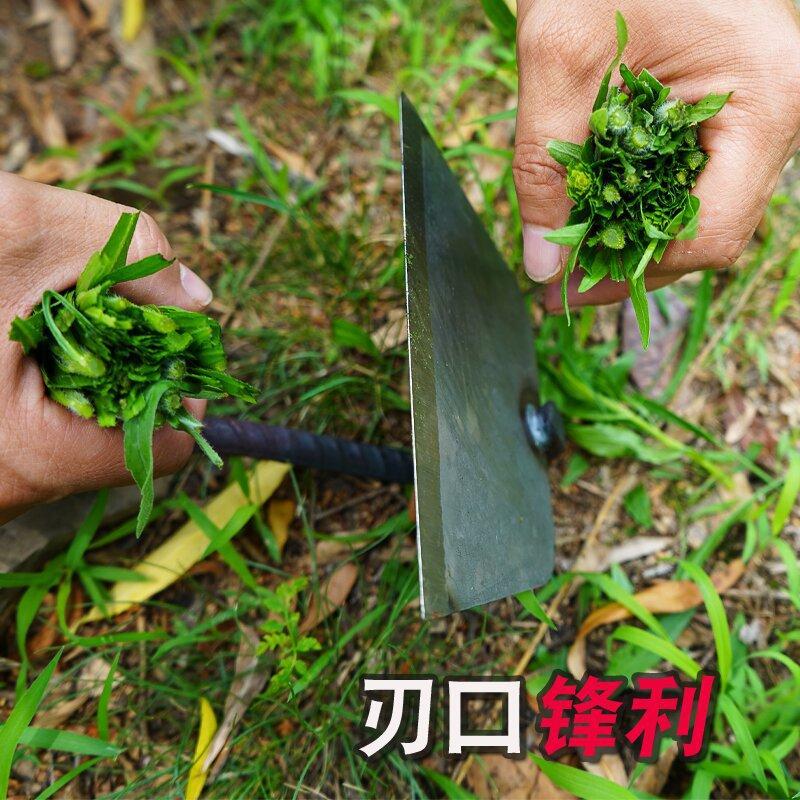 图4_proc