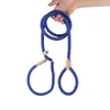 Guia de Cachorro Anti-Estouro Corrente P Guia para Passeio de Cachorro Corrente Anti-Fuga para Cães Médios e Grandes Guia de Amarra Anti-Estouro para Cachorro
