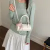 Bolso Transfronterizo con Lazo 2026 Nuevo Diseño de Moda Bolso Cruzado de un Solo Hombro Bolso de Mano Elegante para el Trabajo Bolso Almohada Bolso de Mujer