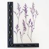 Marcapáginas de flores secas naturales con color absorbente de hierba del amante, marco de fotos con relieve, nomeolvides, flor eterna, decoración ornamental para el hogar.