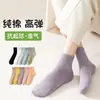 Calcetines Deportivos de Color Sólido para Mujer al por Mayor en Zhuji, Calcetines Cortos de Primavera y Verano, Calcetines Dopamina Delgados, Calcetines Cortos de Colores Caramelo