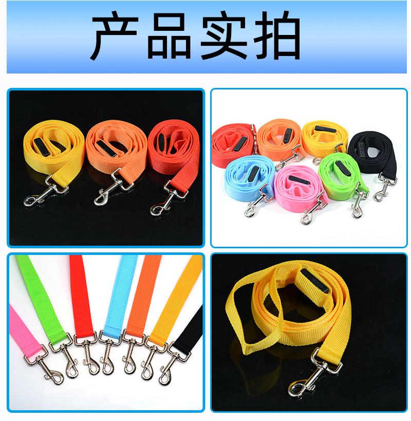 狗狗发光牵引绳