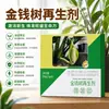 Solución Nutricional Especial para Árbol del Dinero, No Requiere Dilución, Fertilizante Foliar, Trata Hojas Amarillas y Pudrición de Raíz, Promueve Crecimiento de Nuevos Brotes y Llenado Completo de Maceta, Venta al por Mayor desde el Fabricante