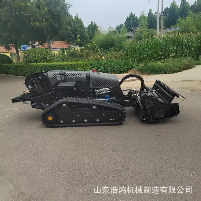 欧五开辟车 (1)