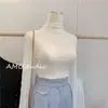 Camisa Base de Renda Transparente com Gola Alta Estilo Europeu para Mulheres, Manga Longa, Fina e Versátil para Primavera e Outono 2026, Top Interno Estiloso