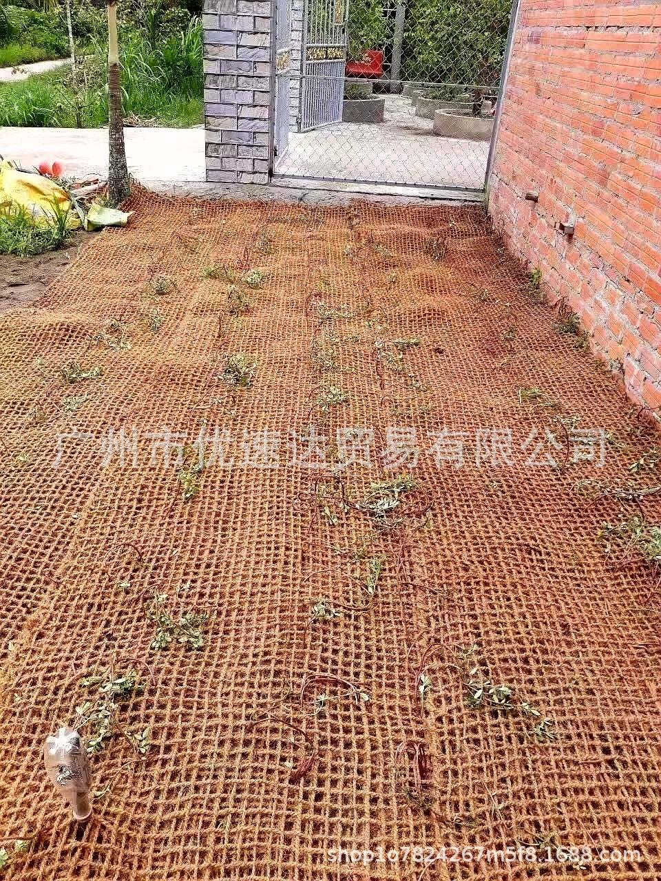 椰网c.jpg